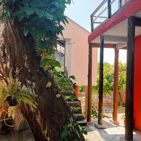 شقة Morada Cacauera Itacaré المظهر الخارجي الصورة